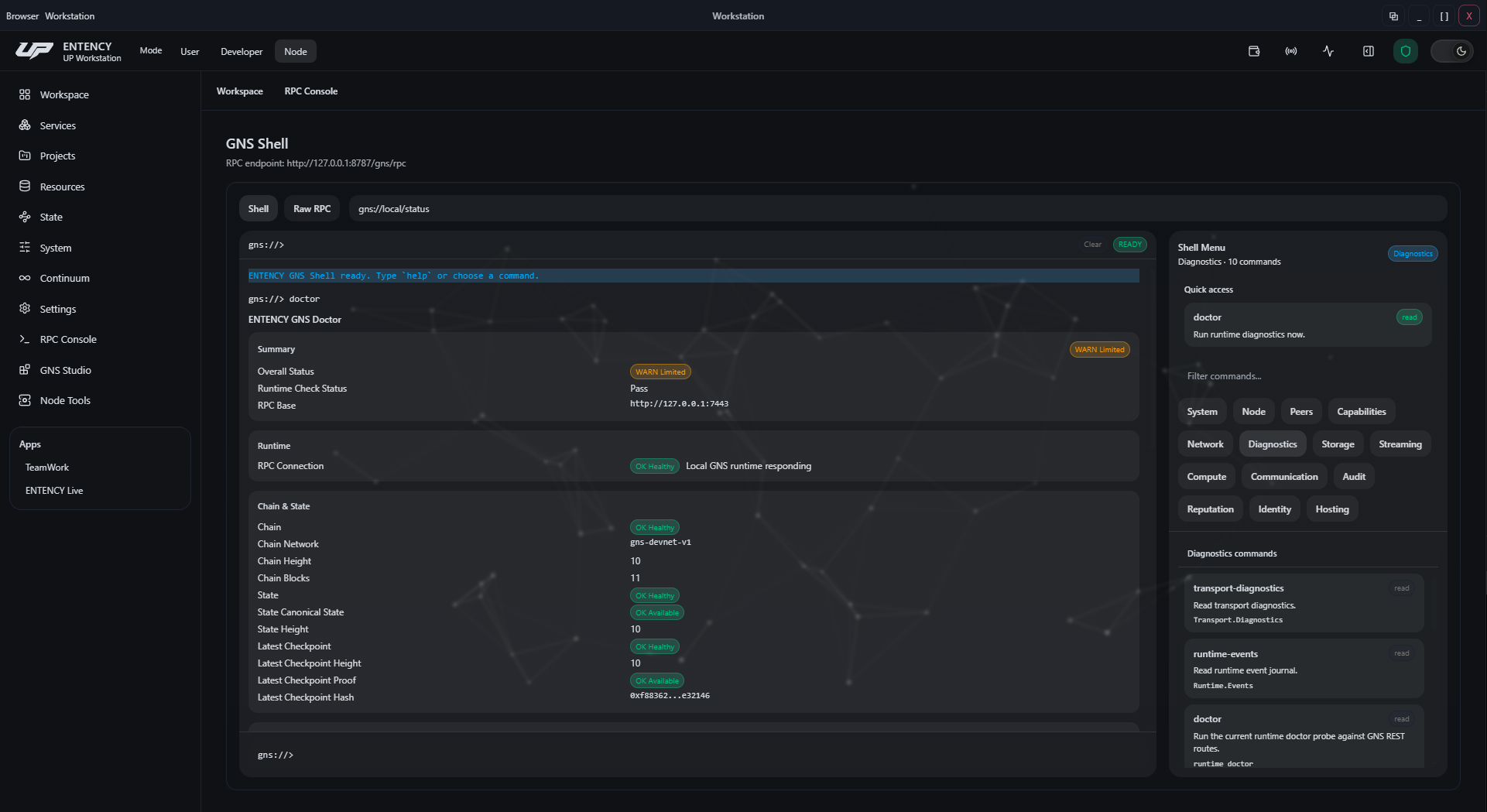 ENTENCY GNS Shell running network diagnostics
