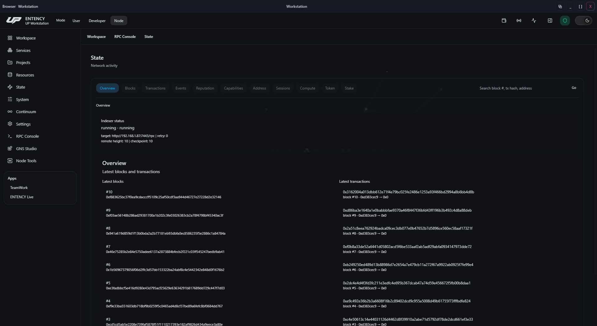 ENTENCY GNS State explorer showing canonical network state